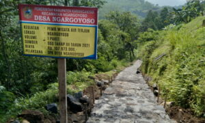 Desa Ngargoyoso