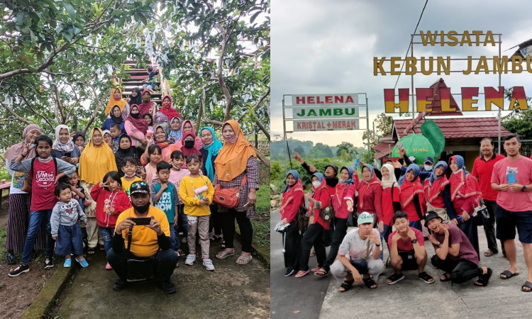 agro wisata Jambu Kristal